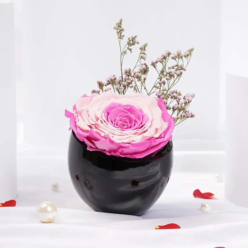 Dual Beauty Large Preserved Rose in Premium Base