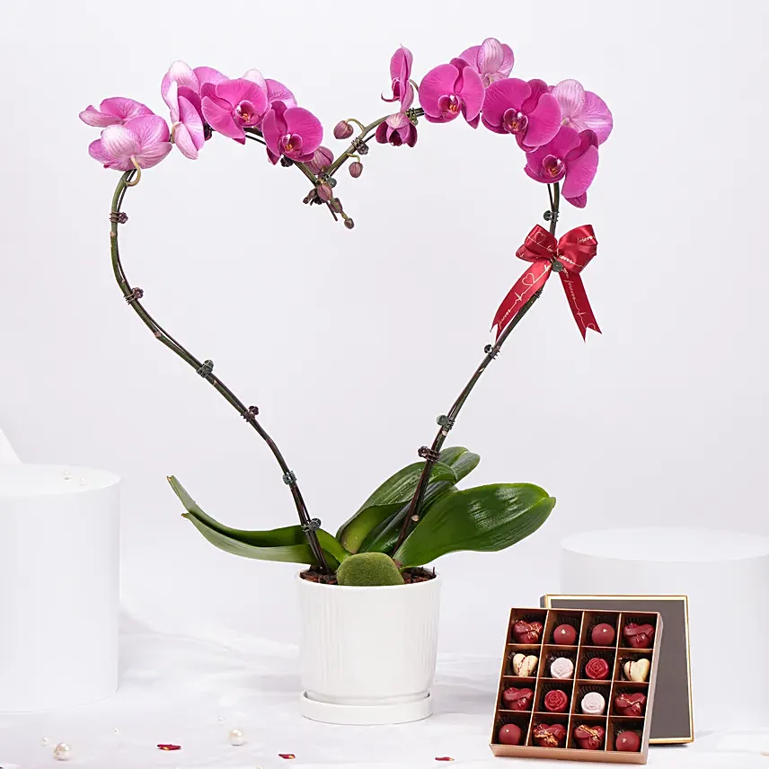 Purple Heart Orchid With Chocolates