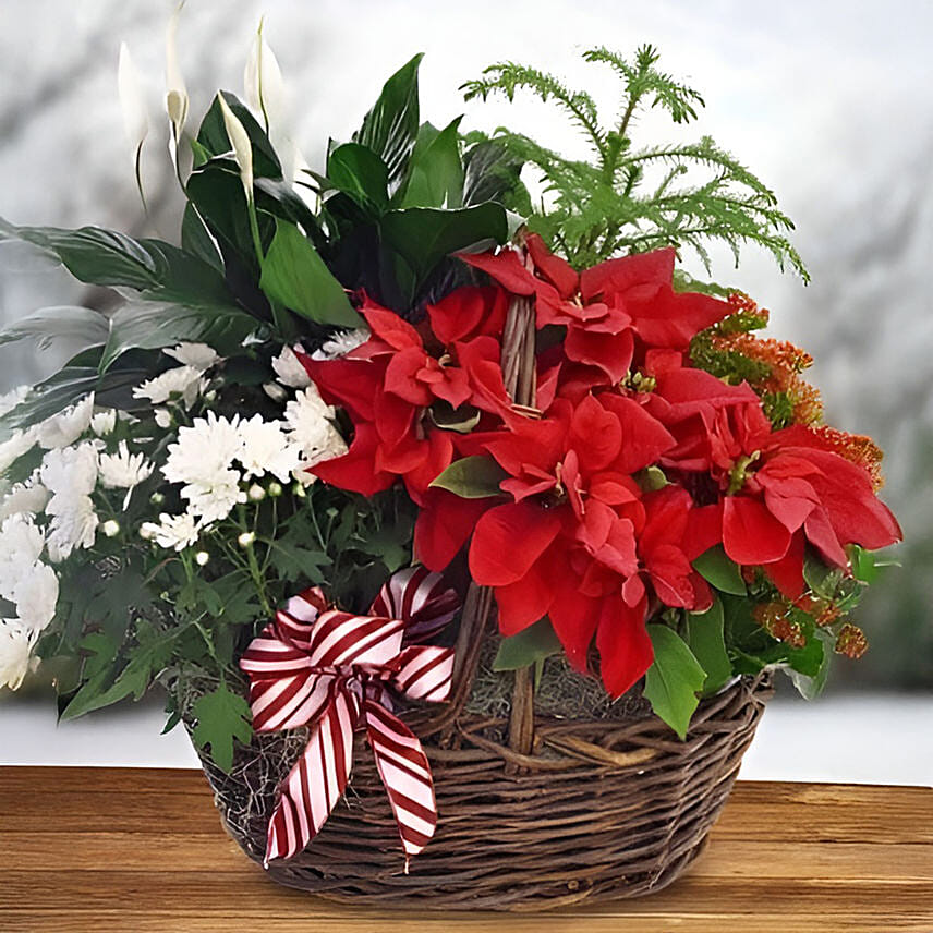 Assorted Flowers And Plants