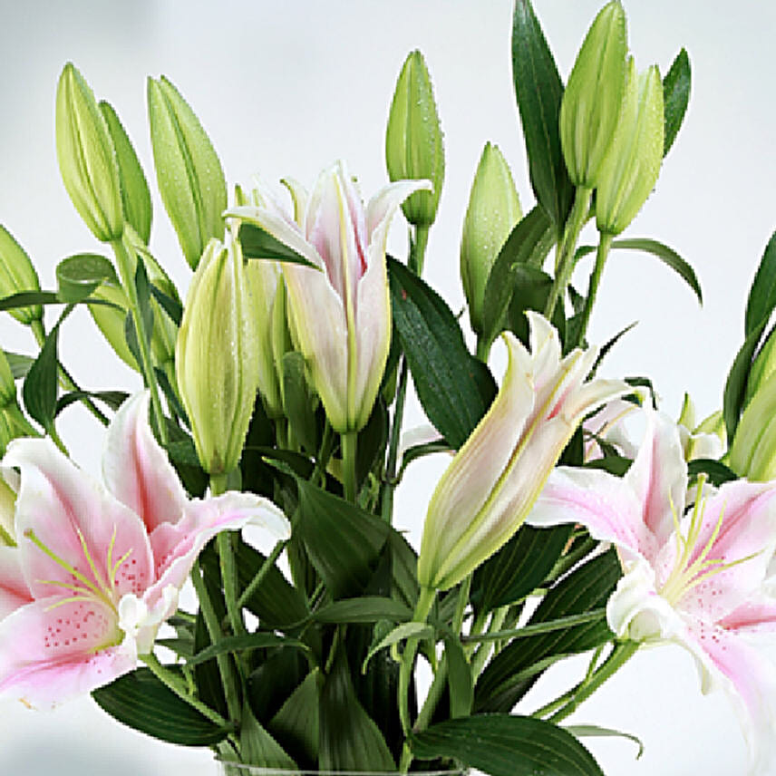 Online 20 Stems Stargazer Pink Lilies Vase Gift Delivery in Qatar - FNP