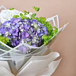 Hydrangea Haven Mix