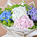 Hydrangea Haven Mix