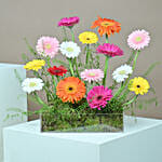 Colorful Flowers Arrangement