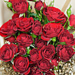 Crimson Heartfelt Baby Roses