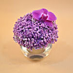 Purple Baby Breath & Phalaenopsis Fish Bowl Vase