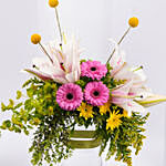 Blooming Elegance - Lily n Gerbera Rose Gift