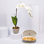 Otantik Home - Chocolate Bowl with White Orchid