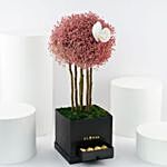 Pink Gypso Beautiful Arrangement With Ferrero Rocher