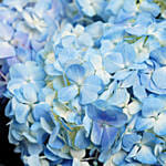 3 Blue Hydrangea Bouquet