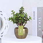 Jade Plant In Gold Tone Metal Pot