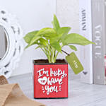 Money Plant In Lucky To Have You Glass Pot