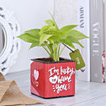 Money Plant In Lucky To Have You Glass Pot