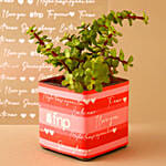 Jade Plant Chocolatey Combo Hand Delivery