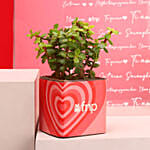 Jade Plant In Love Vase