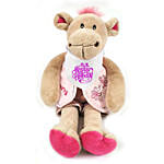 Cuddly Carly Camel Wearing Shorts With Waistcoat N Bandana