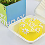 Birthday Wish Lunchbox Redvelvet Cake and Lucky Bamboo