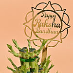 Rakhi Wishes Lucky Bamboo Plant