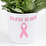 Believe In Hope Plant