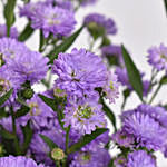 September Birthday Aster Floral Arrangement