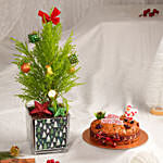 Decorated Christmas Plant and Plum Cake