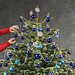 7 to 8 Fresh Christmas Tree With Blue Decoration