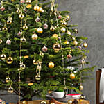 7 to 8 Fresh Christmas Tree With Golden Decoration