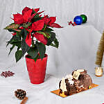 Poinsettia in Red Planter With Log Cake