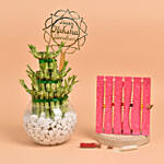 Set of 5 Rakhi with Lucky Bamboo Plant