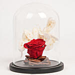 Forever Red Rose in Glass Dome