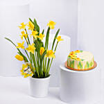 Daffodils Chocolate Cake With Flowers