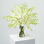 38 White Orchids Arrangement