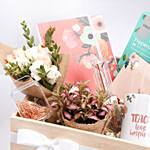 Teacher'S Essentials Gift Hampers