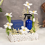 Wallace & Co Blue Gift Set with Dry Flowers