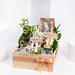 Tea and Plant Gift Hamper