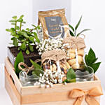 Tea and Plant Gift Hamper