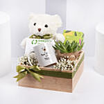 Bear Hugs Get Well Soon Hamper