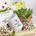 Bear Hugs Get Well Soon Hamper