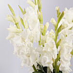 Blissful White Gladiolus Arrangement