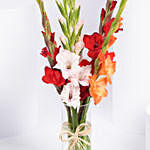 Gladiolus Charm Arrangement