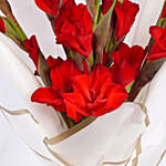 Red Gladiolus Bouquet