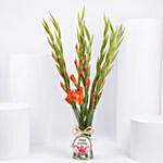 Birthday Wishes Orange Gladiolus