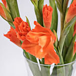 Birthday Wishes Orange Gladiolus