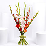 Gladiolus Mix Color Bouquet