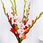 Gladiolus Mix Color Bouquet