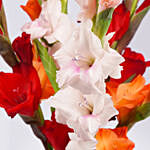 Gladiolus Mix Color Bouquet