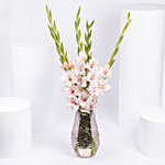 Pink Gladiolus In Premium Vase