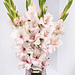 Pink Gladiolus In Premium Vase