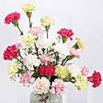 Carnations In A Premium Vase