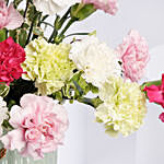 Carnations In A Premium Vase