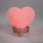 Flower Garden With Heart Shape Lamp